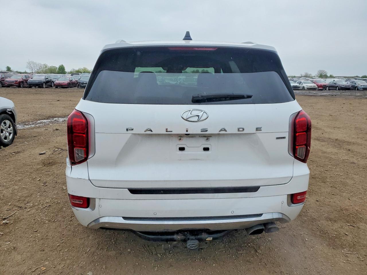 2020 Hyundai Palisade Limited - Фото 6