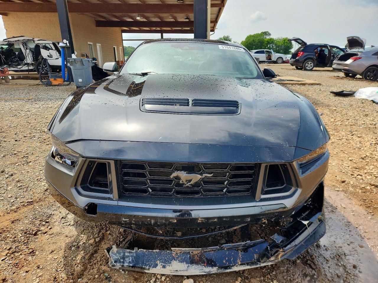 2025 Ford Mustang Dark Horse - Фото 5