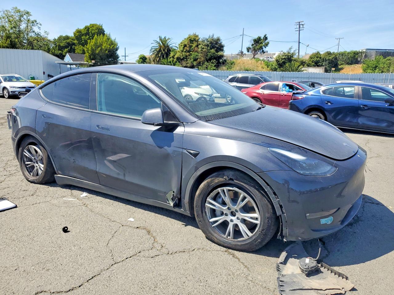 2024 Tesla Model Y - Фото 4