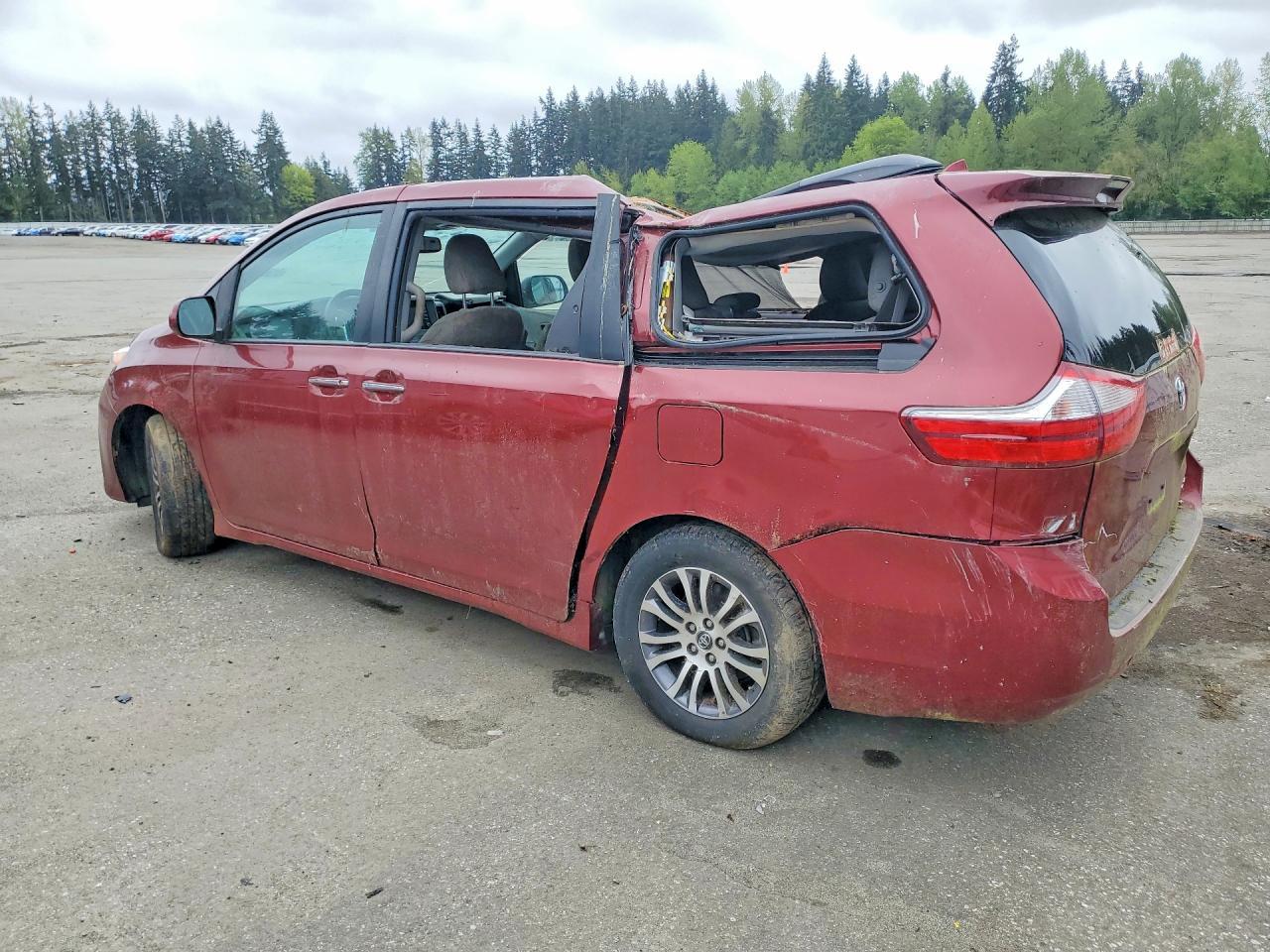 2019 Toyota Sienna Xle 8-Passenger - Фото 2