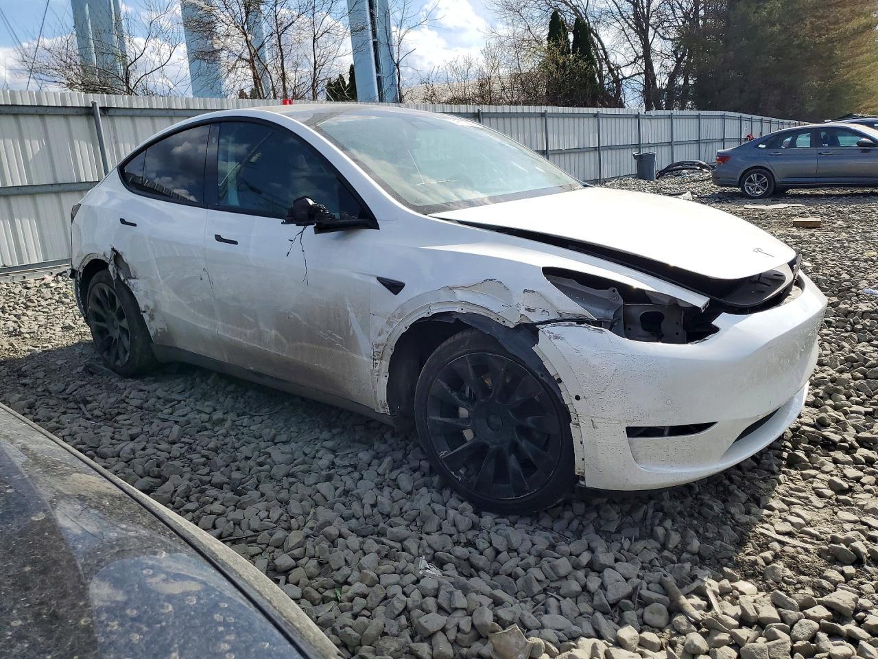 2021 Tesla Model Y - Фото 4