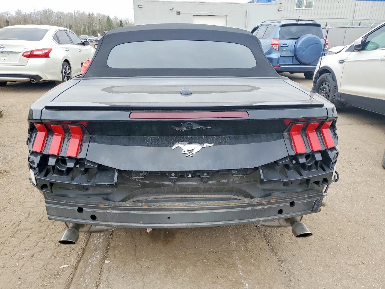 2024 Ford Mustang - Фото 6