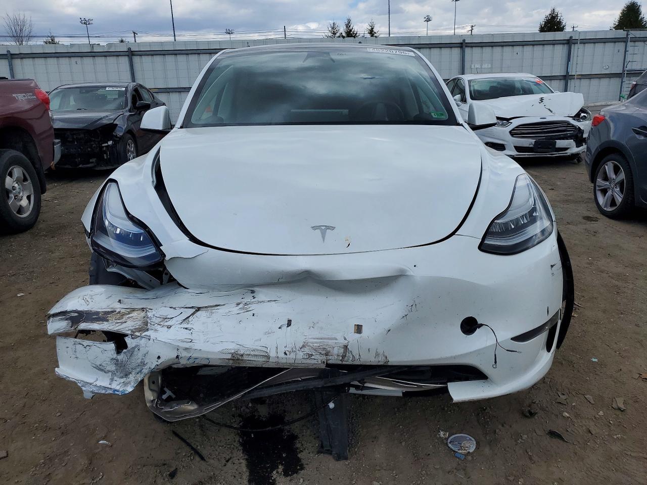 2023 Tesla Model Y - Фото 5