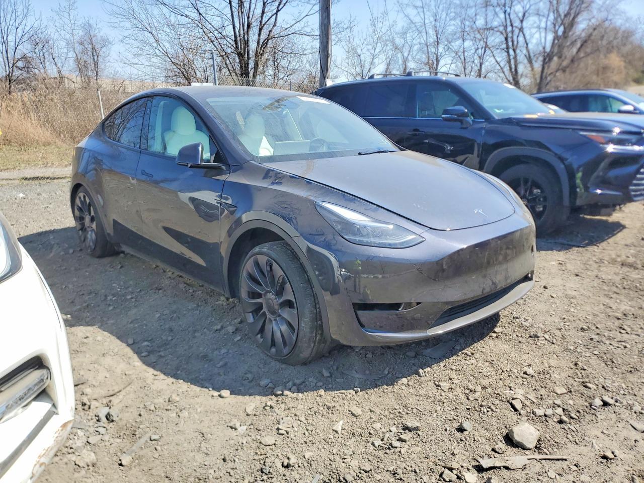 2025 Tesla Model Y - Фото 4