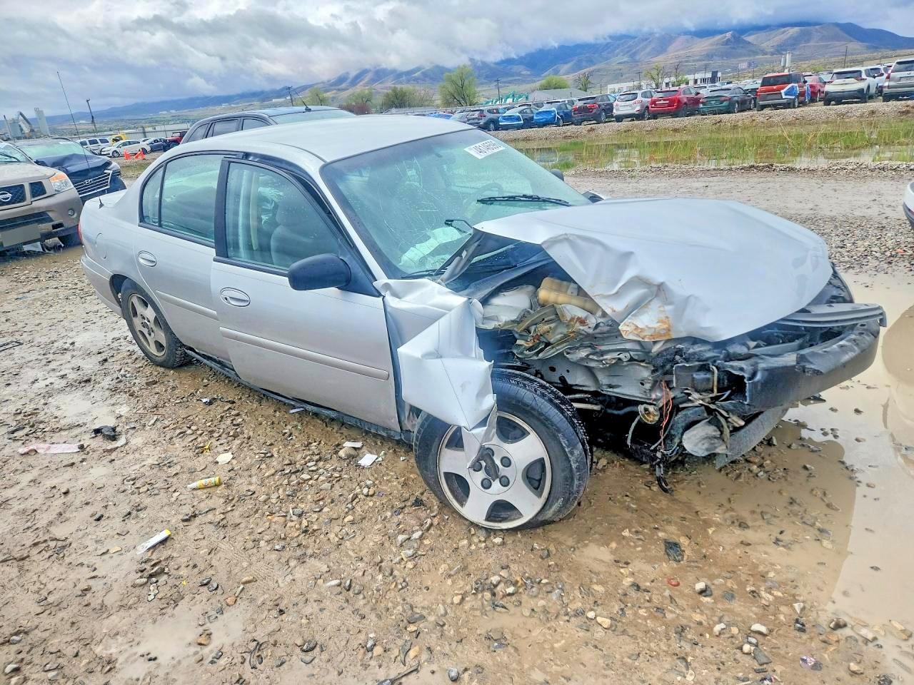 2005 Chevrolet Classic - Фото 4