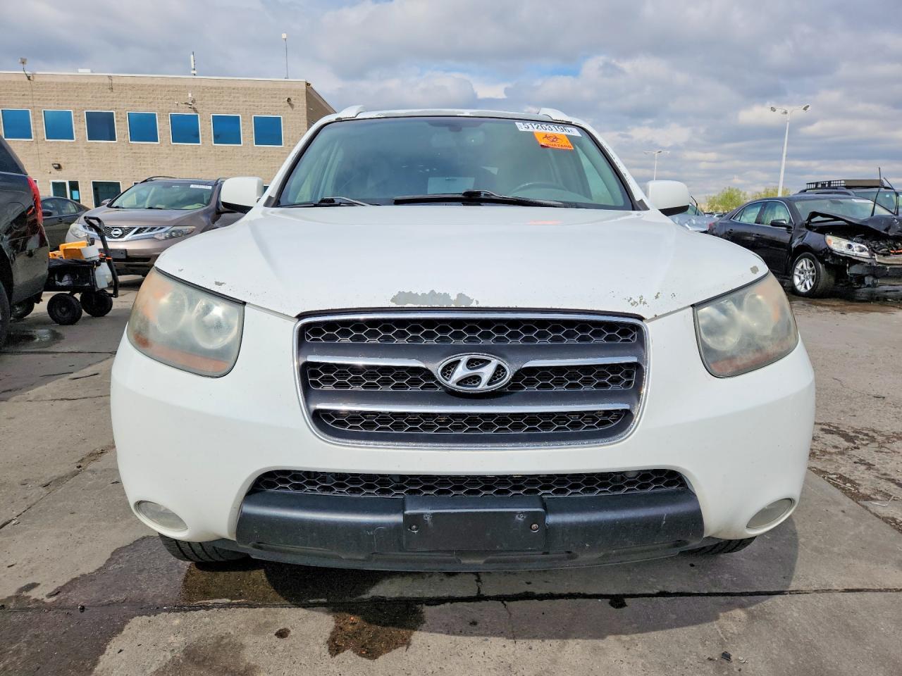 2007 Hyundai Santa Fe Se - Фото 5