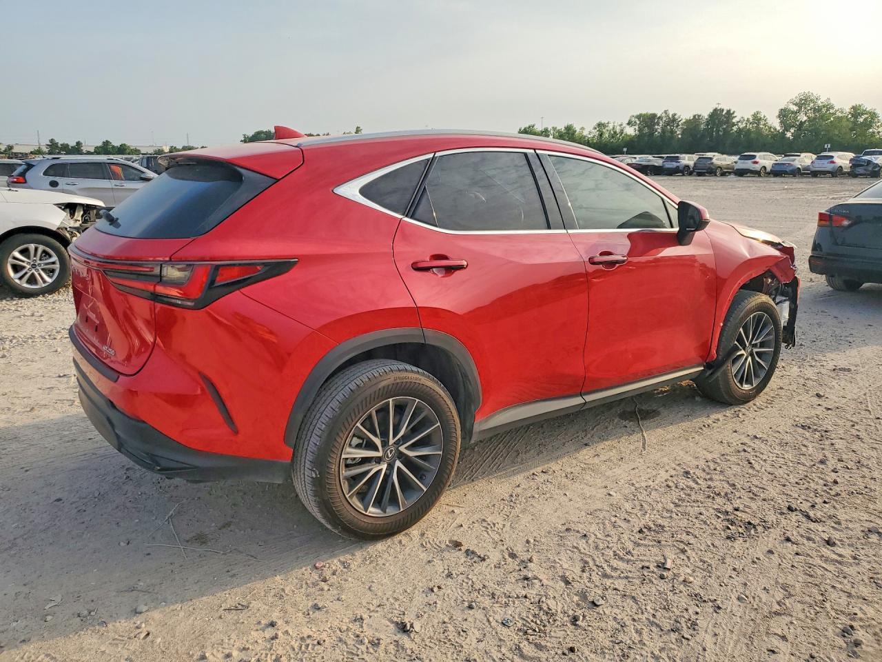 2024 Lexus Nx 250 Base - Фото 3