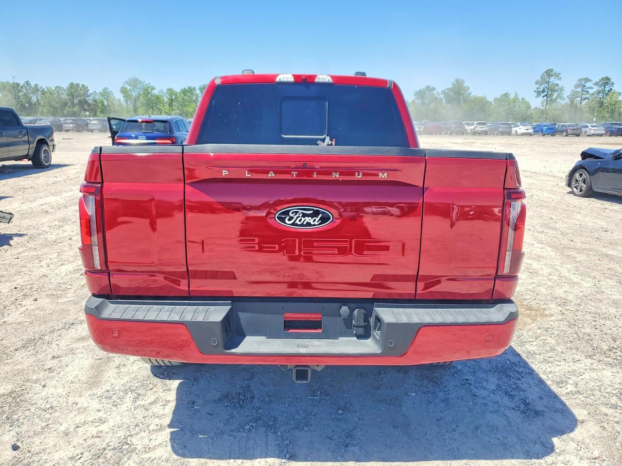 2025 Ford F150 Platinum - Image 6