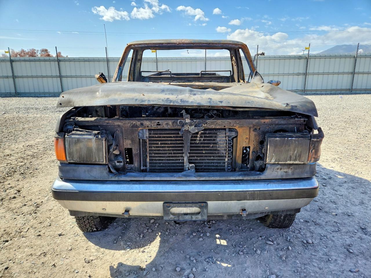 1990 Ford F150 - Image 5