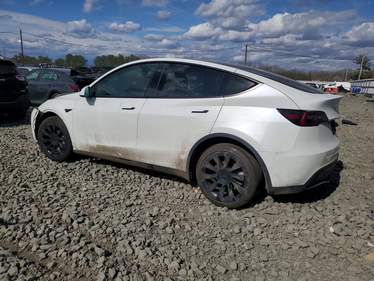2021 Tesla Model Y - Фото 2