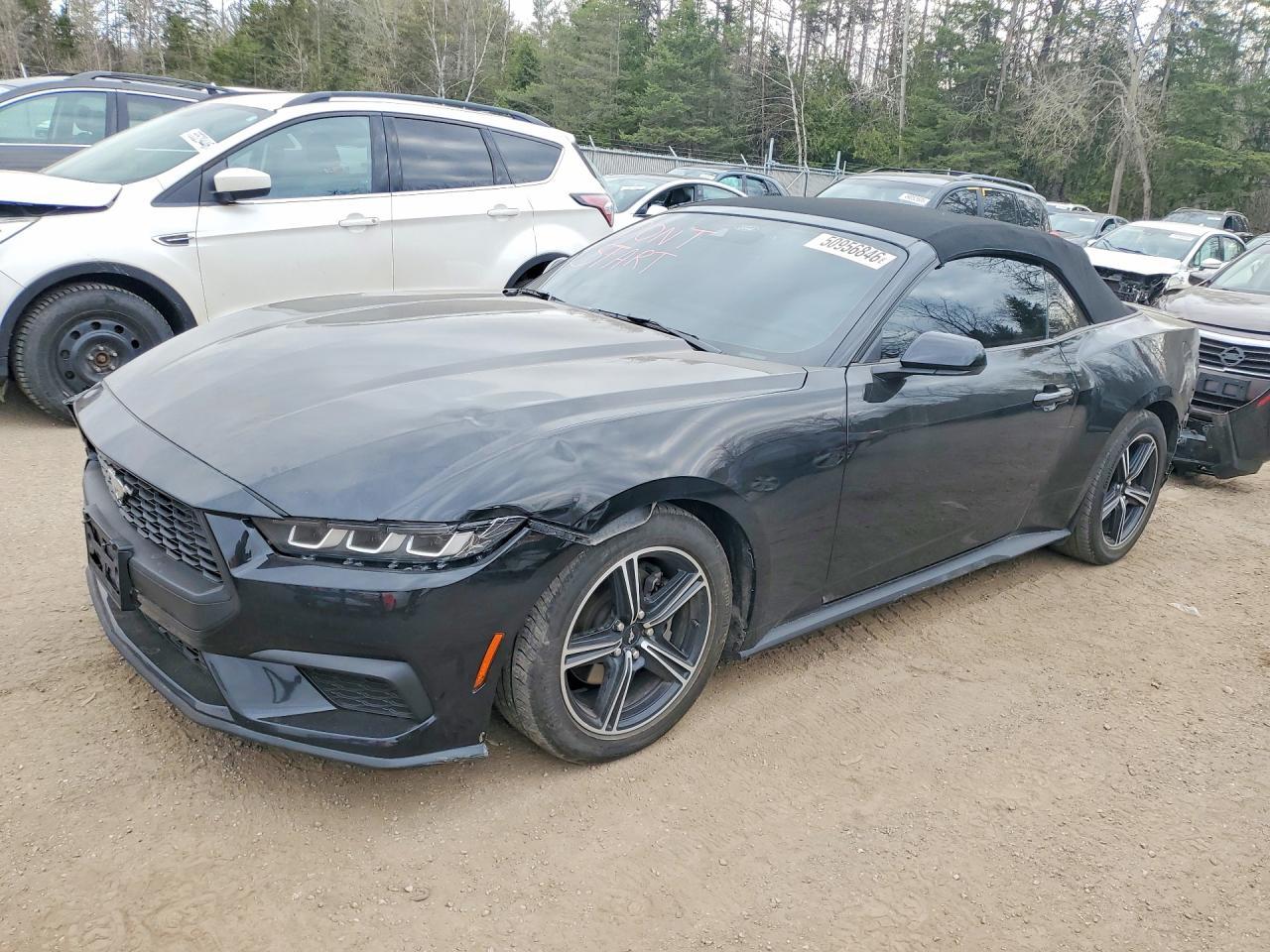 2024 Ford Mustang