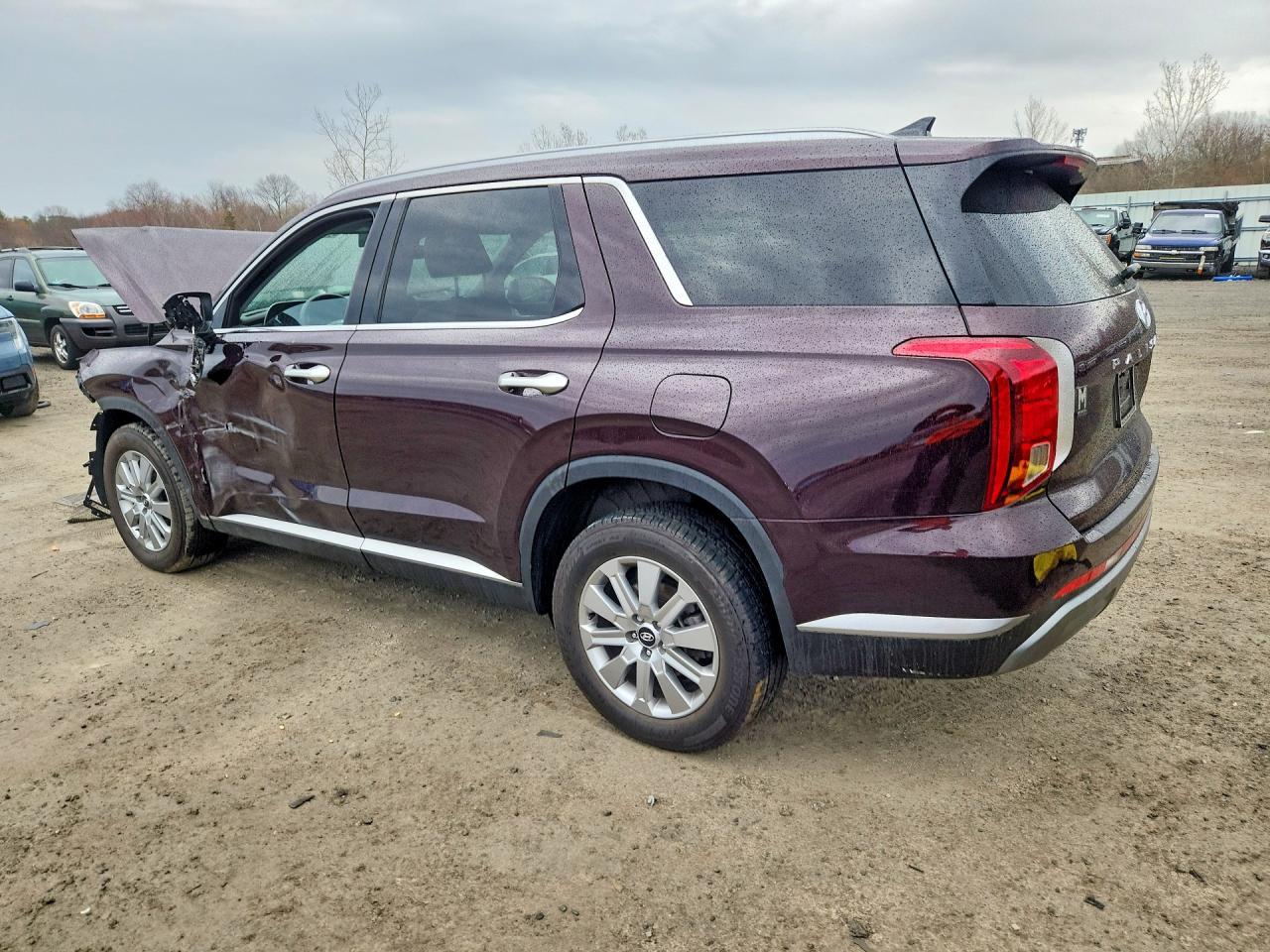 2024 Hyundai Palisade Sel - Фото 2