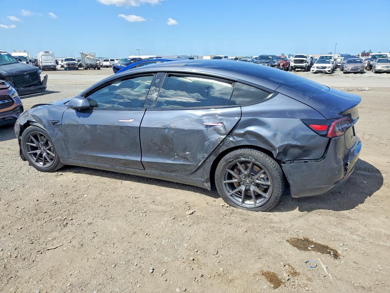 2021 Tesla Model 3 - Фото 2