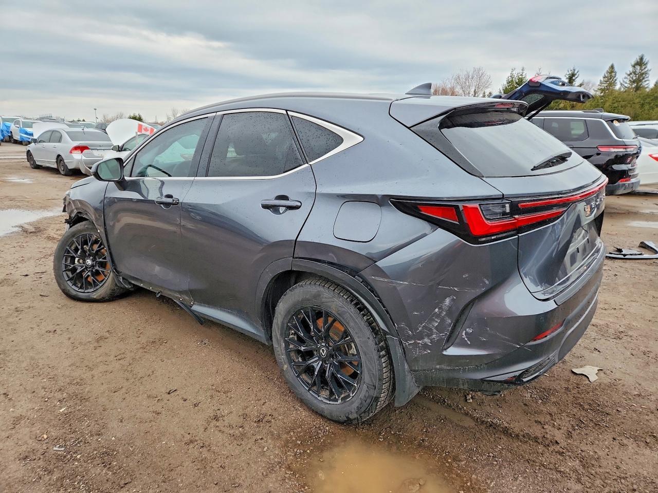 2025 Lexus Nx 350H Premium - Фото 2