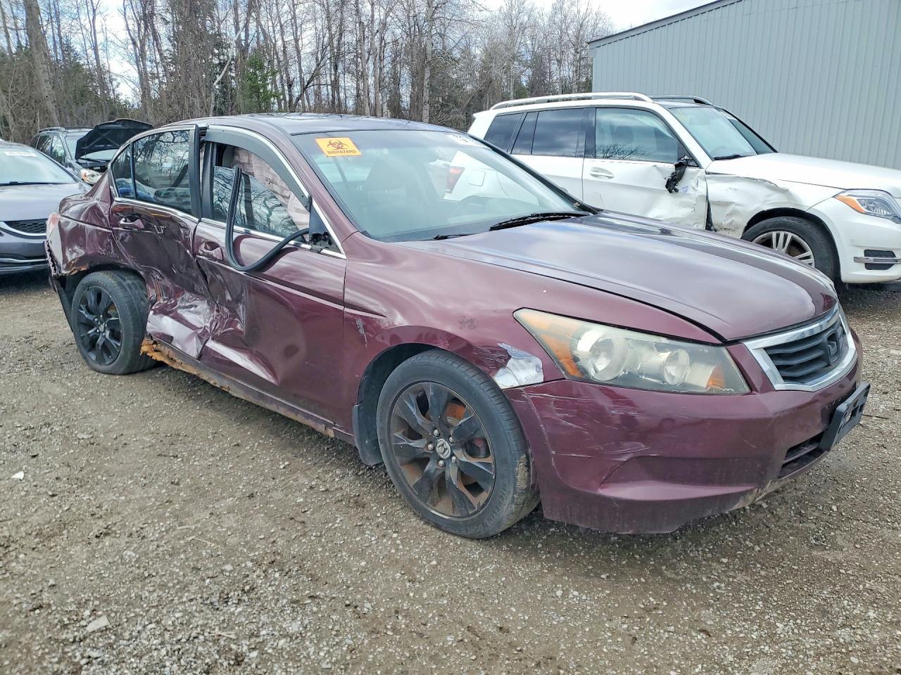2008 Honda Accord Exl - Image 4