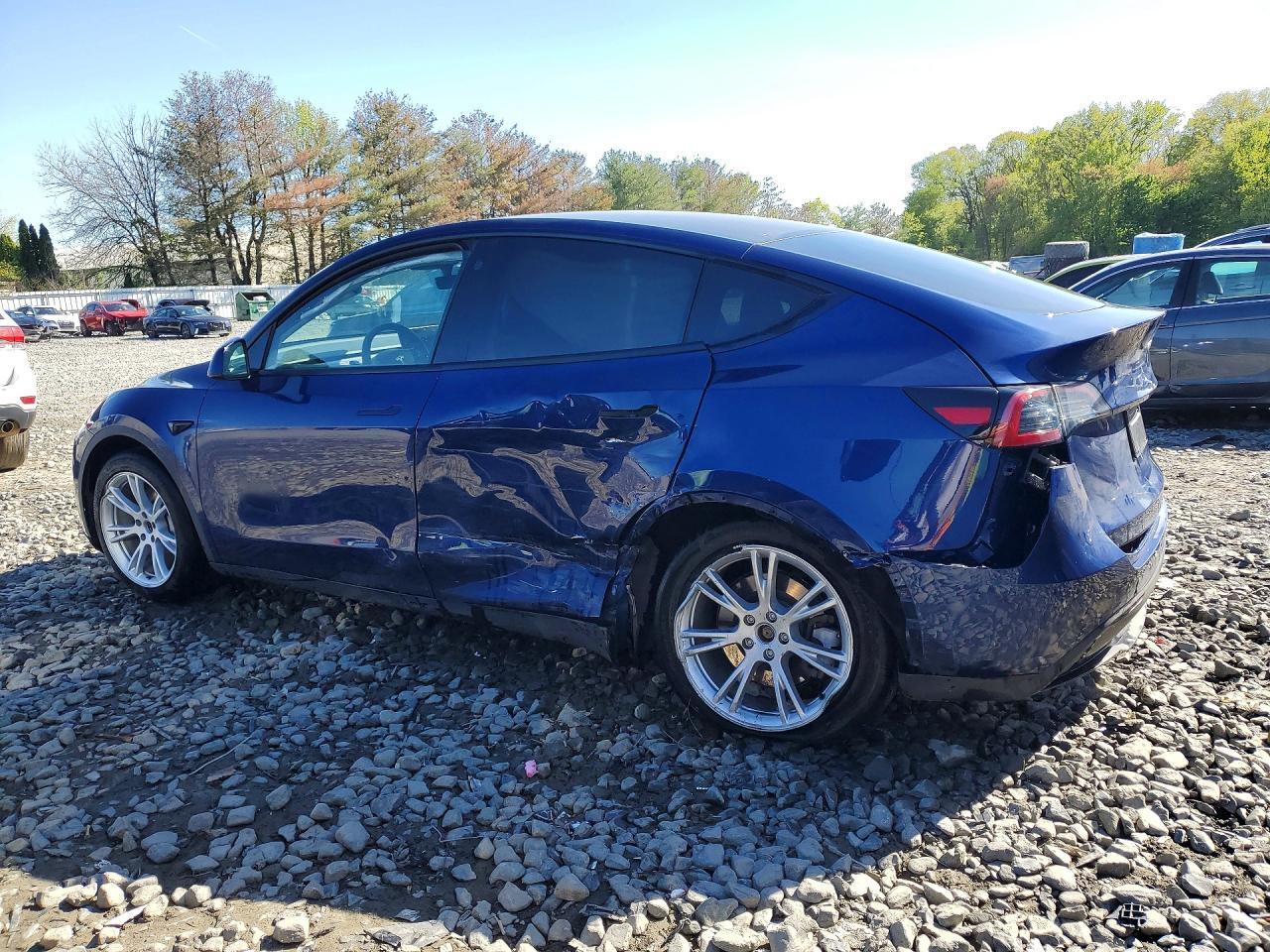 2023 Tesla Model Y - Фото 2