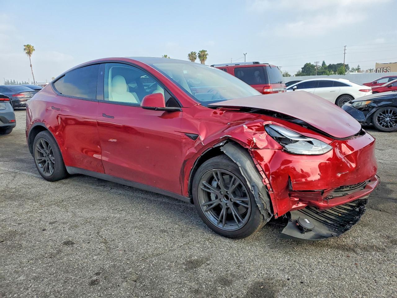 2024 Tesla Model Y - Фото 4