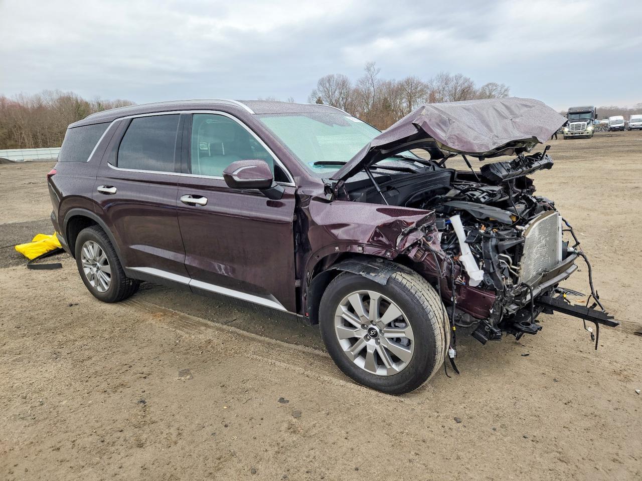2024 Hyundai Palisade Sel - Фото 4