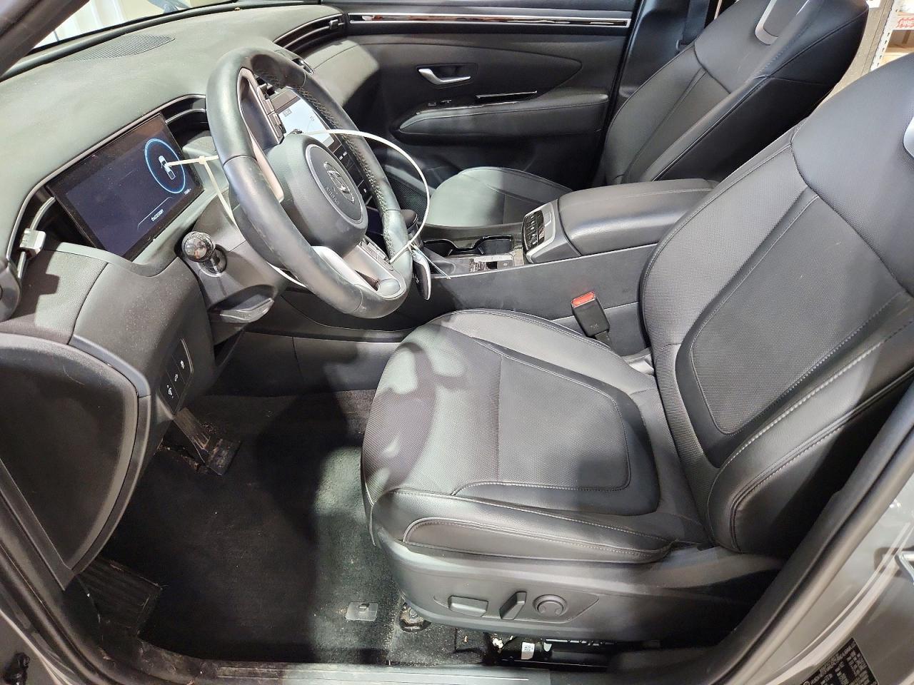 2024 Hyundai Santa Cruz Limited - Фото 7