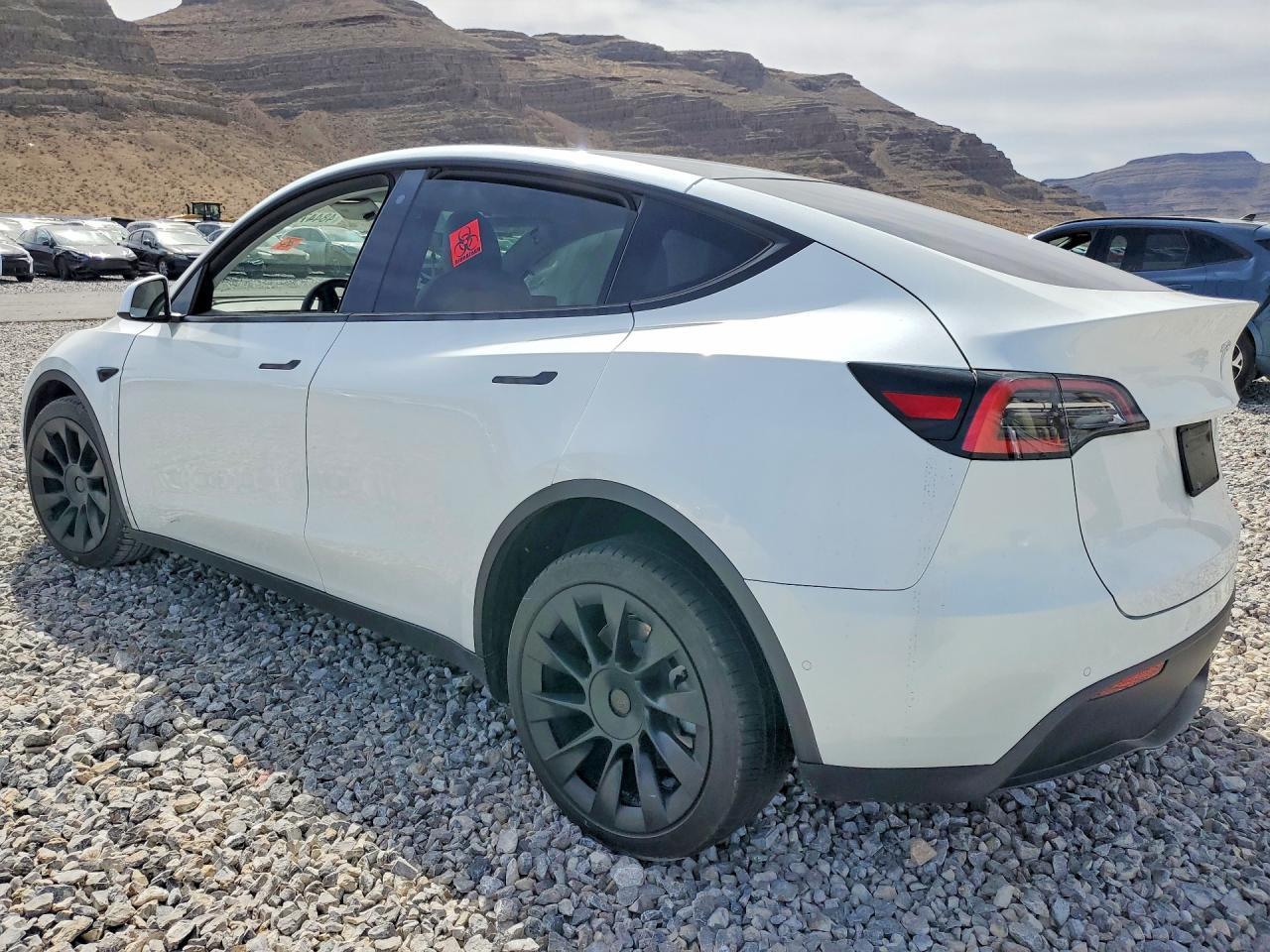 2020 Tesla Model Y - Фото 2