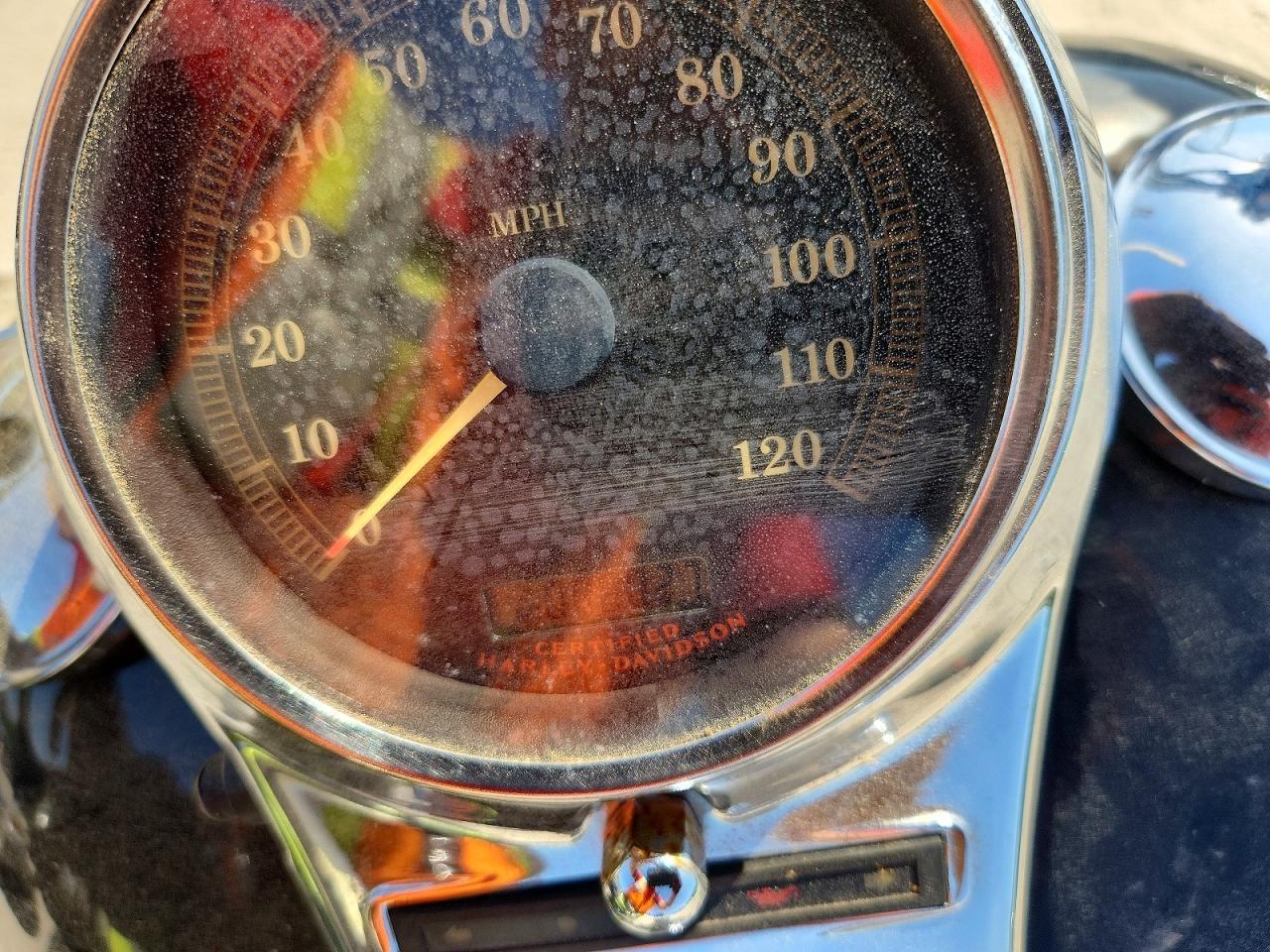 2005 Harley-Davidson Flstsi - Image 7
