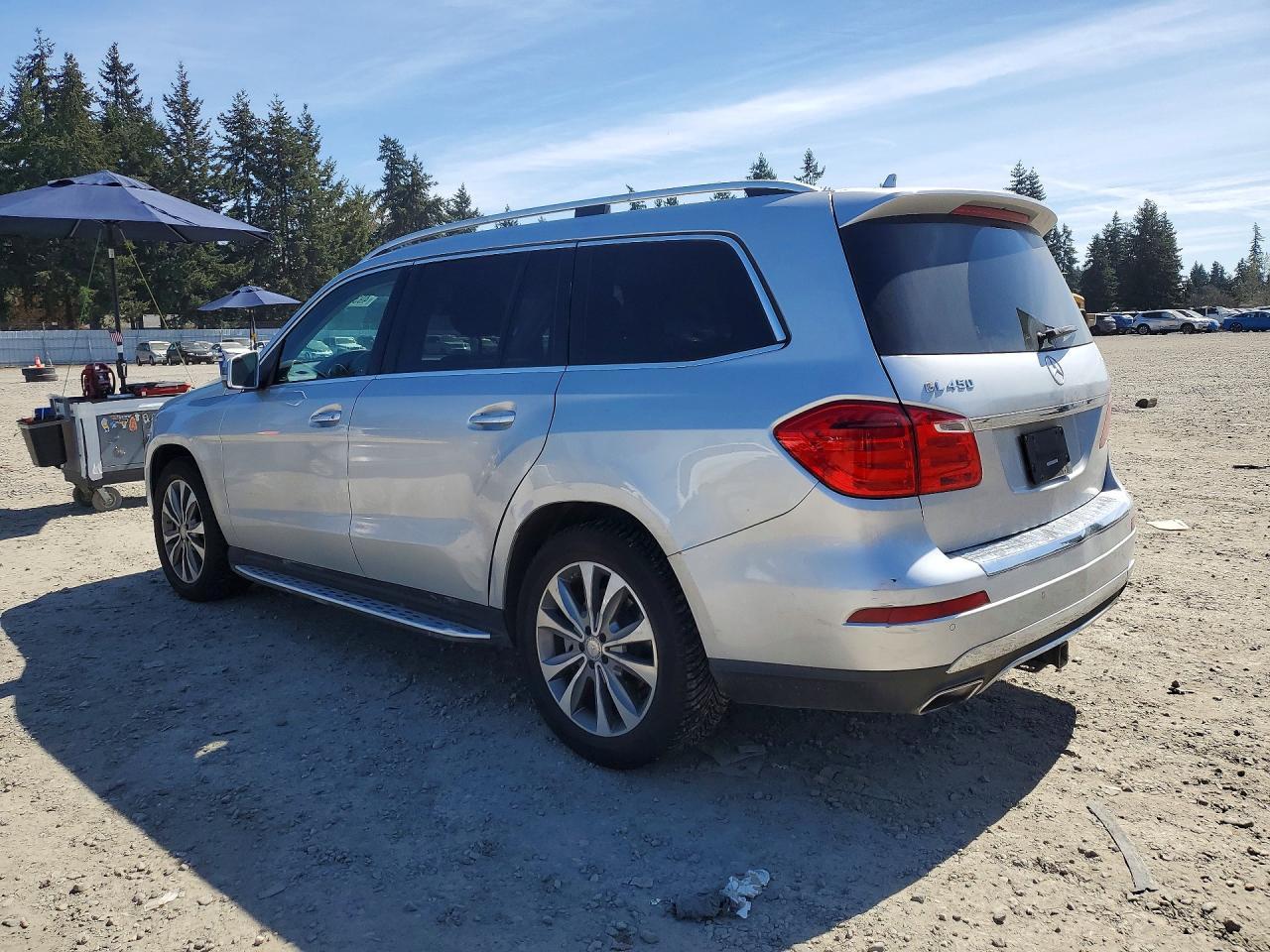 2016 Mercedes-Benz Gl 450 4Matic - Фото 2