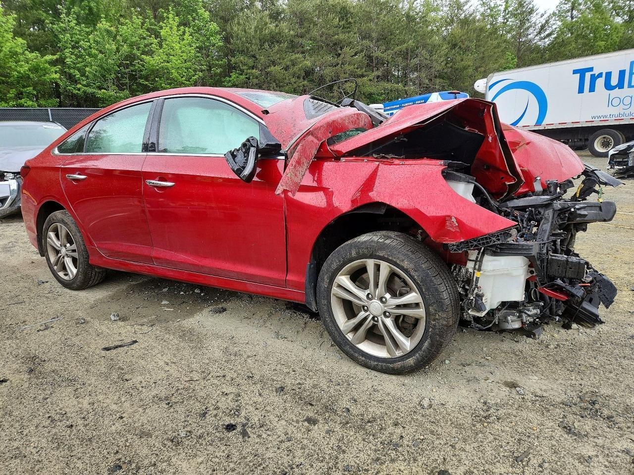 2019 Hyundai Sonata Limited - Image 4