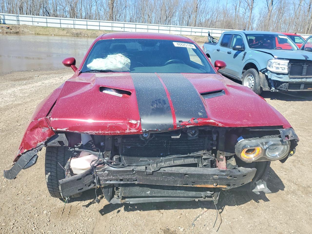 2019 Dodge Challenger Sxt - Фото 5