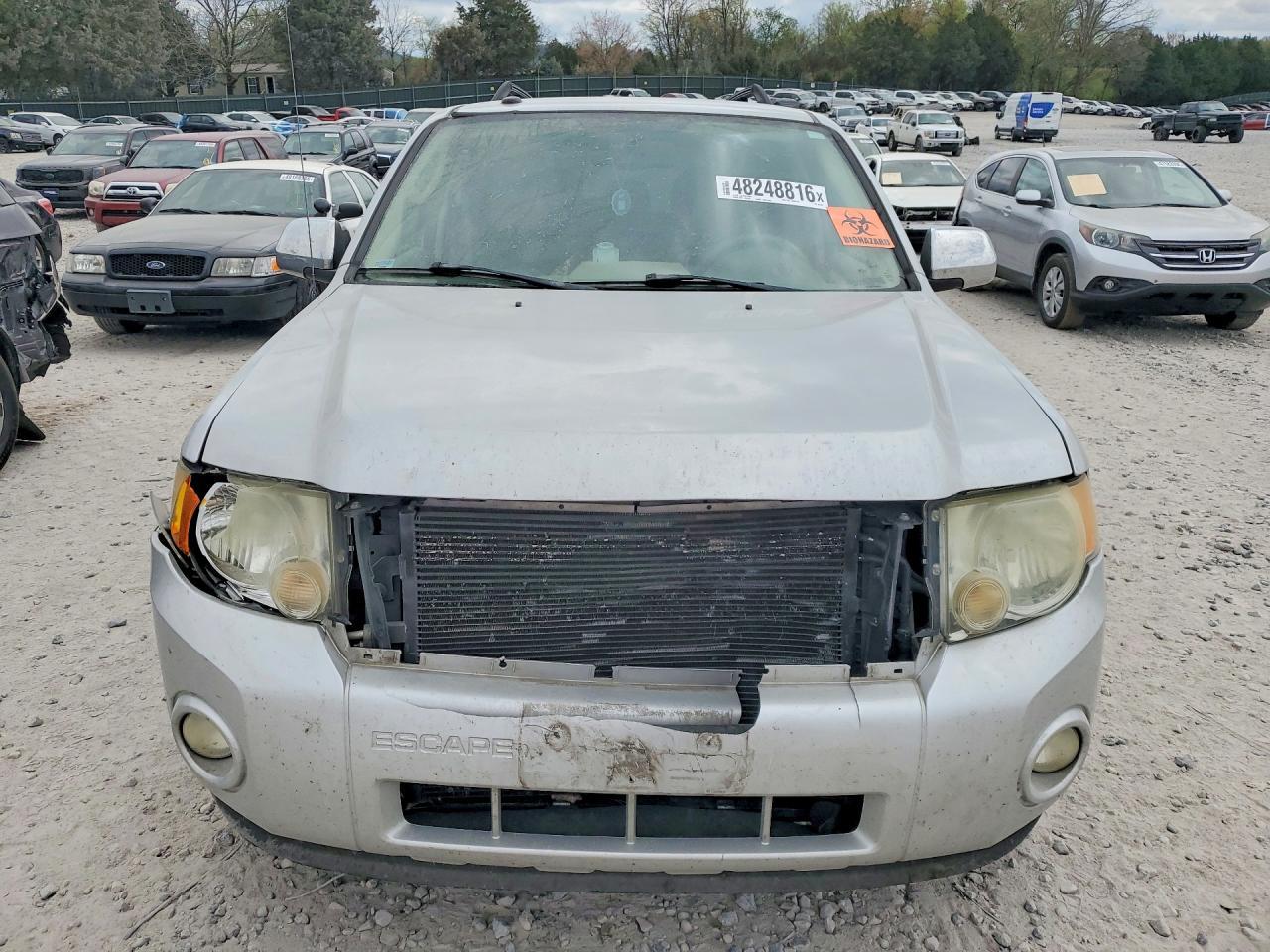 2010 Ford Escape Xlt - Фото 5
