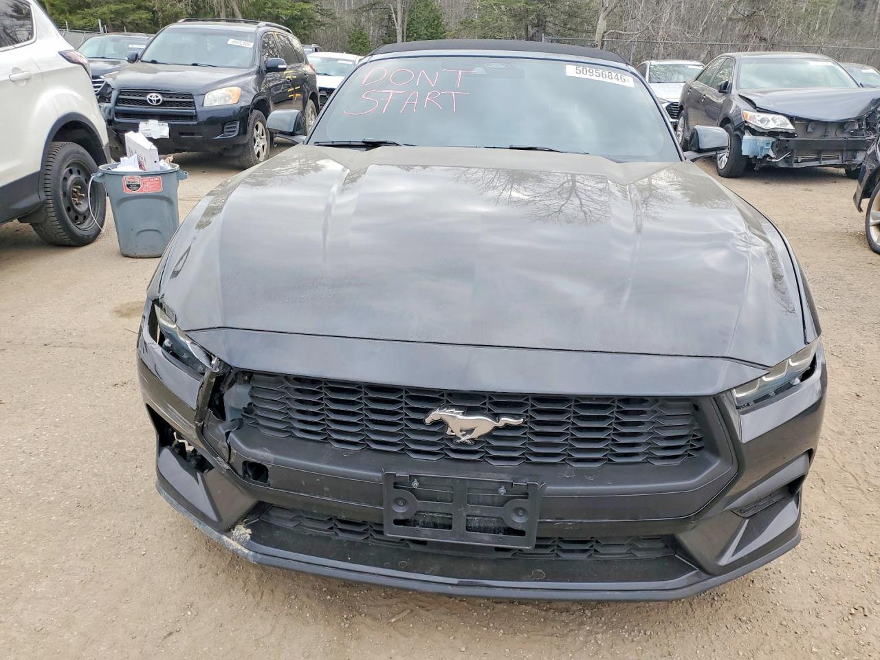 2024 Ford Mustang - Фото 5