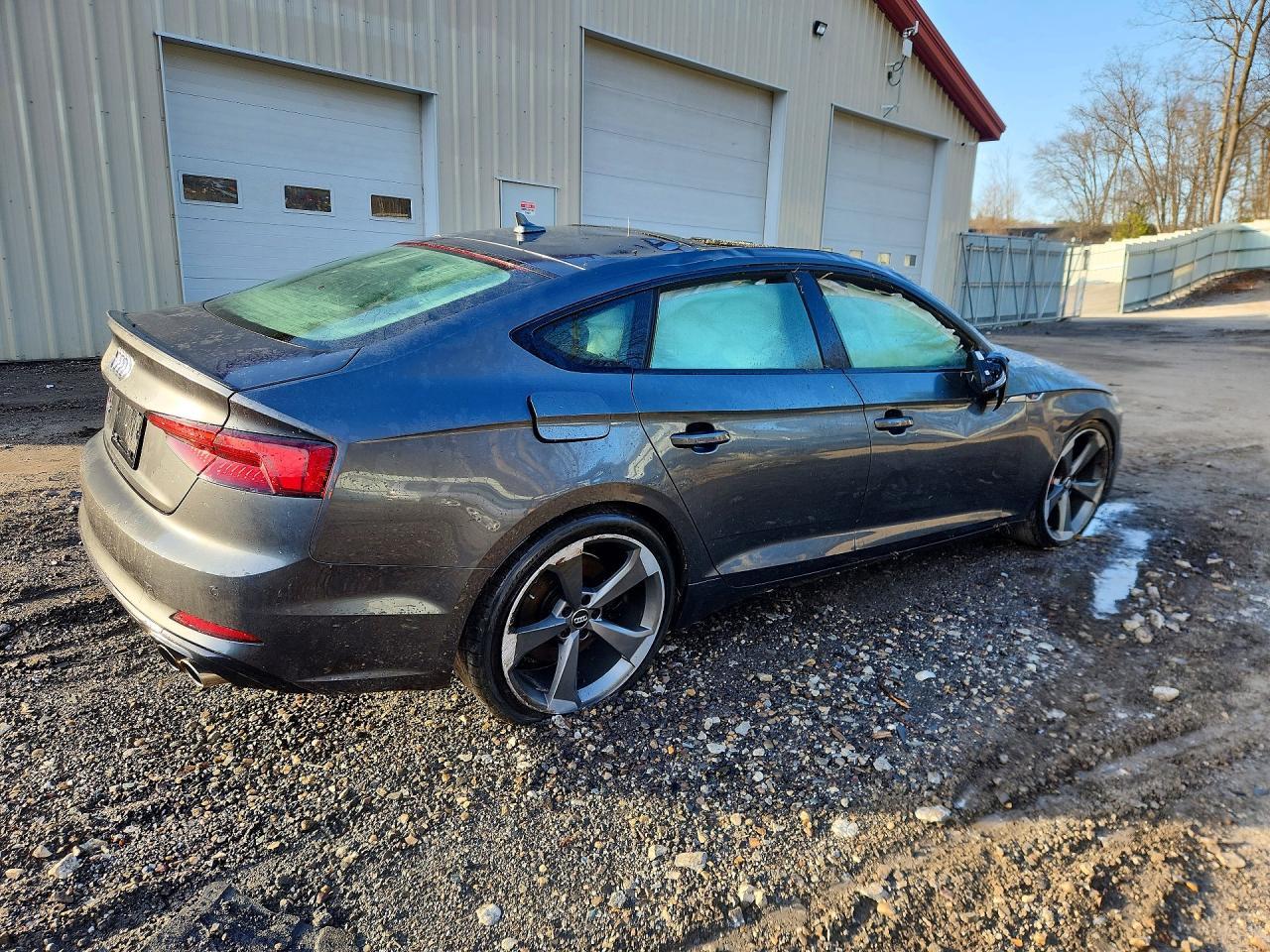 2019 Audi S5 Premium Plus - Фото 3