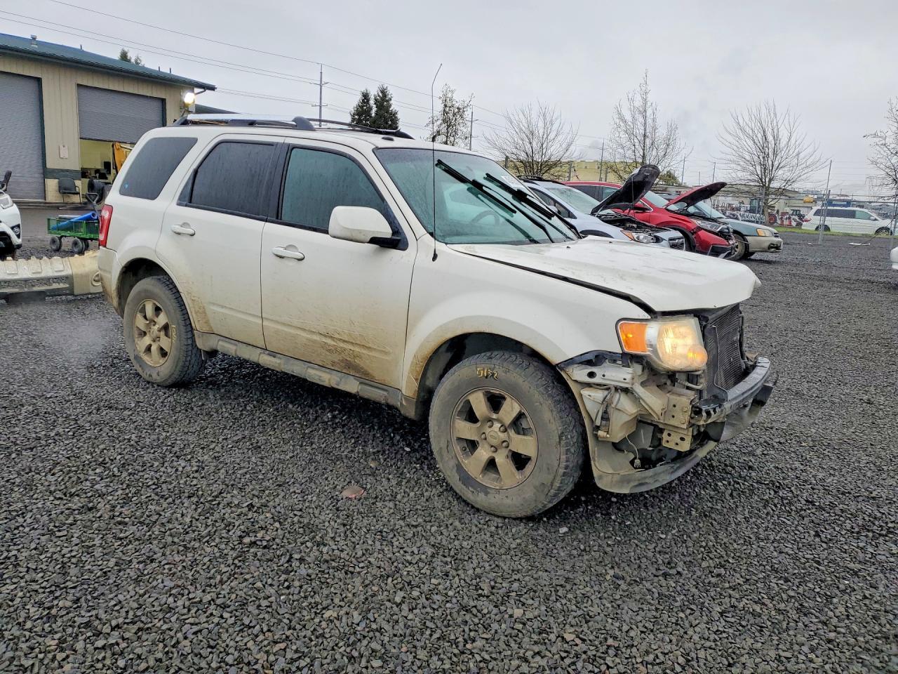 2012 Ford Escape Limited - Image 4