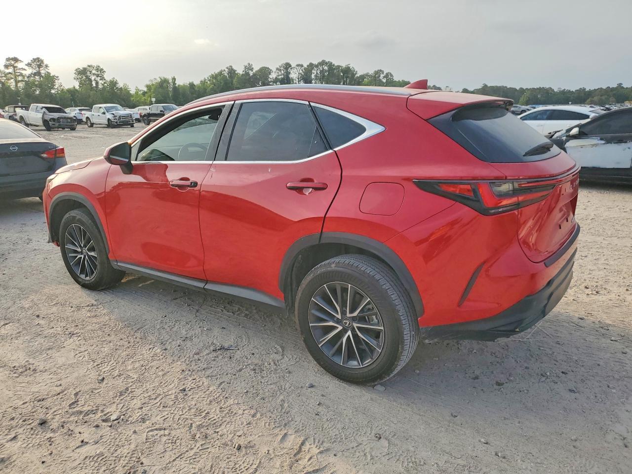 2024 Lexus Nx 250 Base - Фото 2