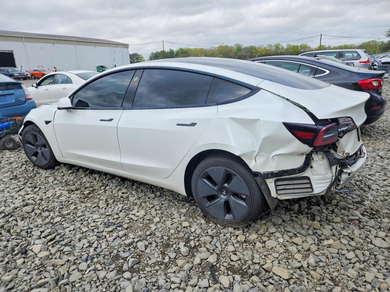 2023 Tesla Model 3 - Фото 2