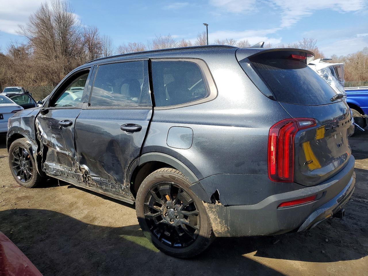 2021 Kia Telluride Sx - Image 2