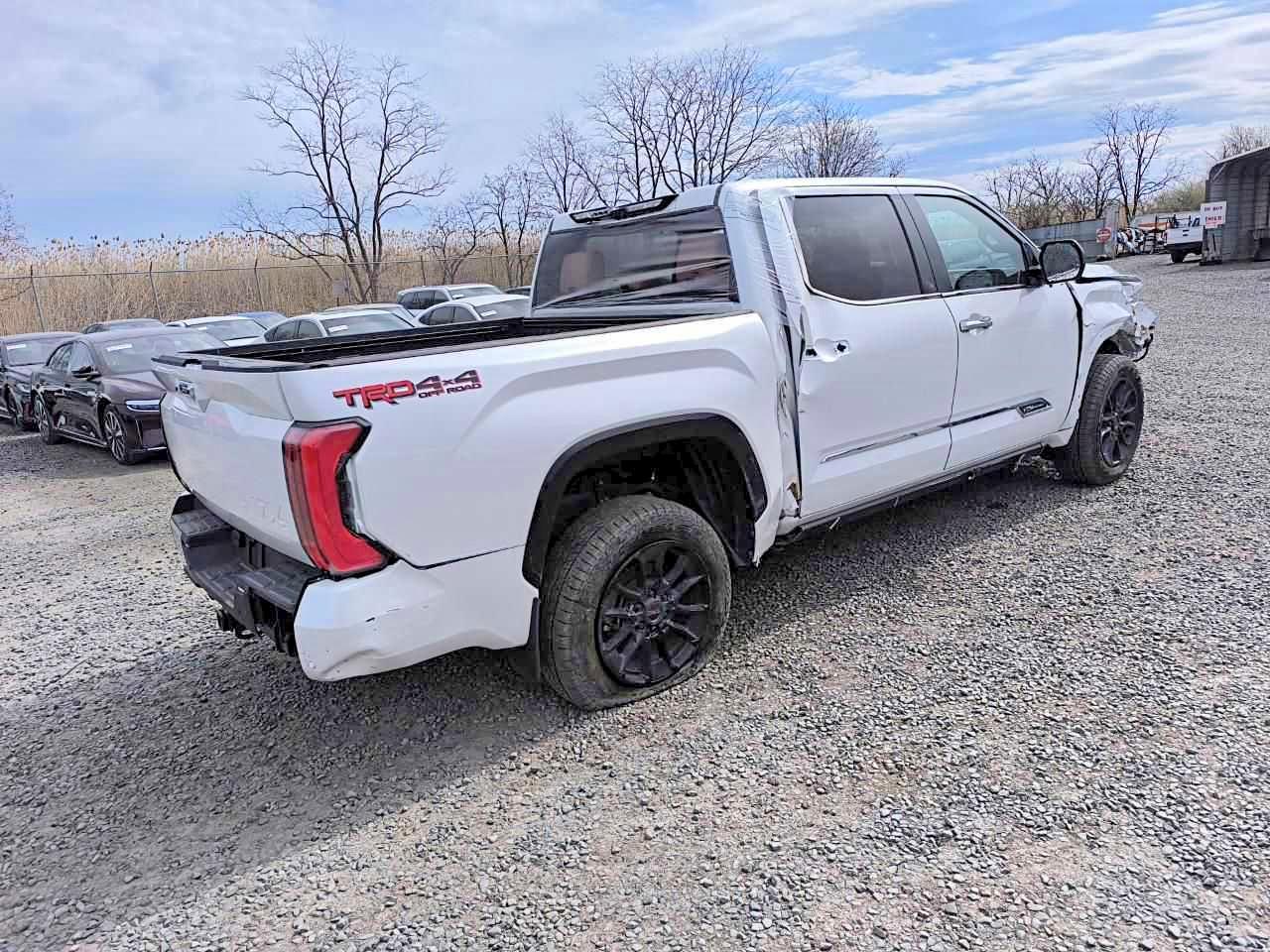 2025 Toyota Tundra 1794 Edition - Фото 4