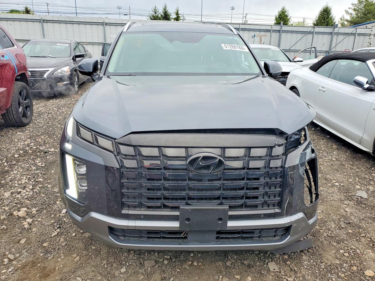 2024 Hyundai Palisade Limited - Фото 5