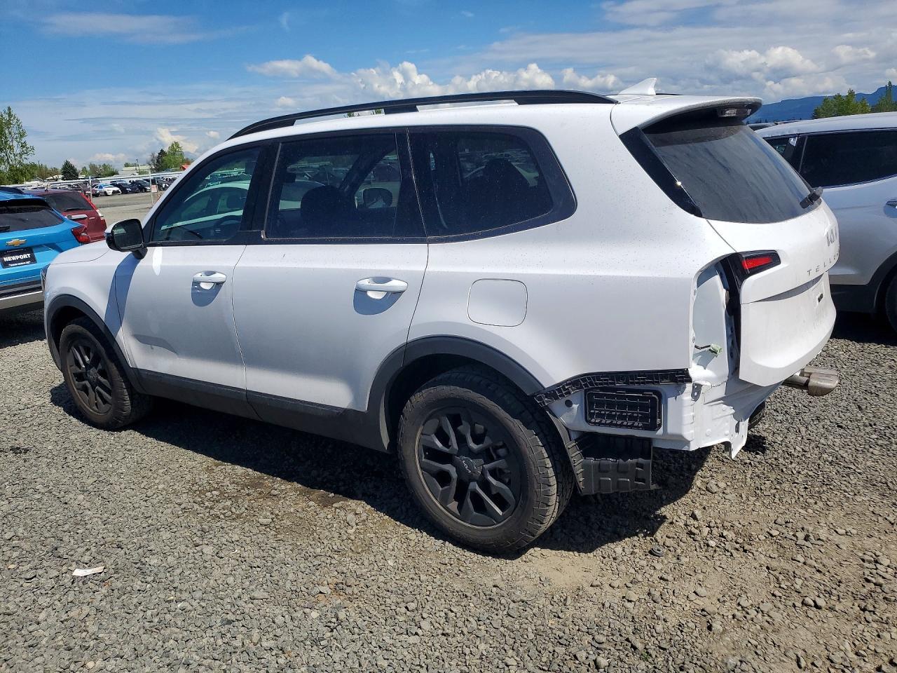 2024 Kia Telluride Sx-Prestige X-Pro - Image 2