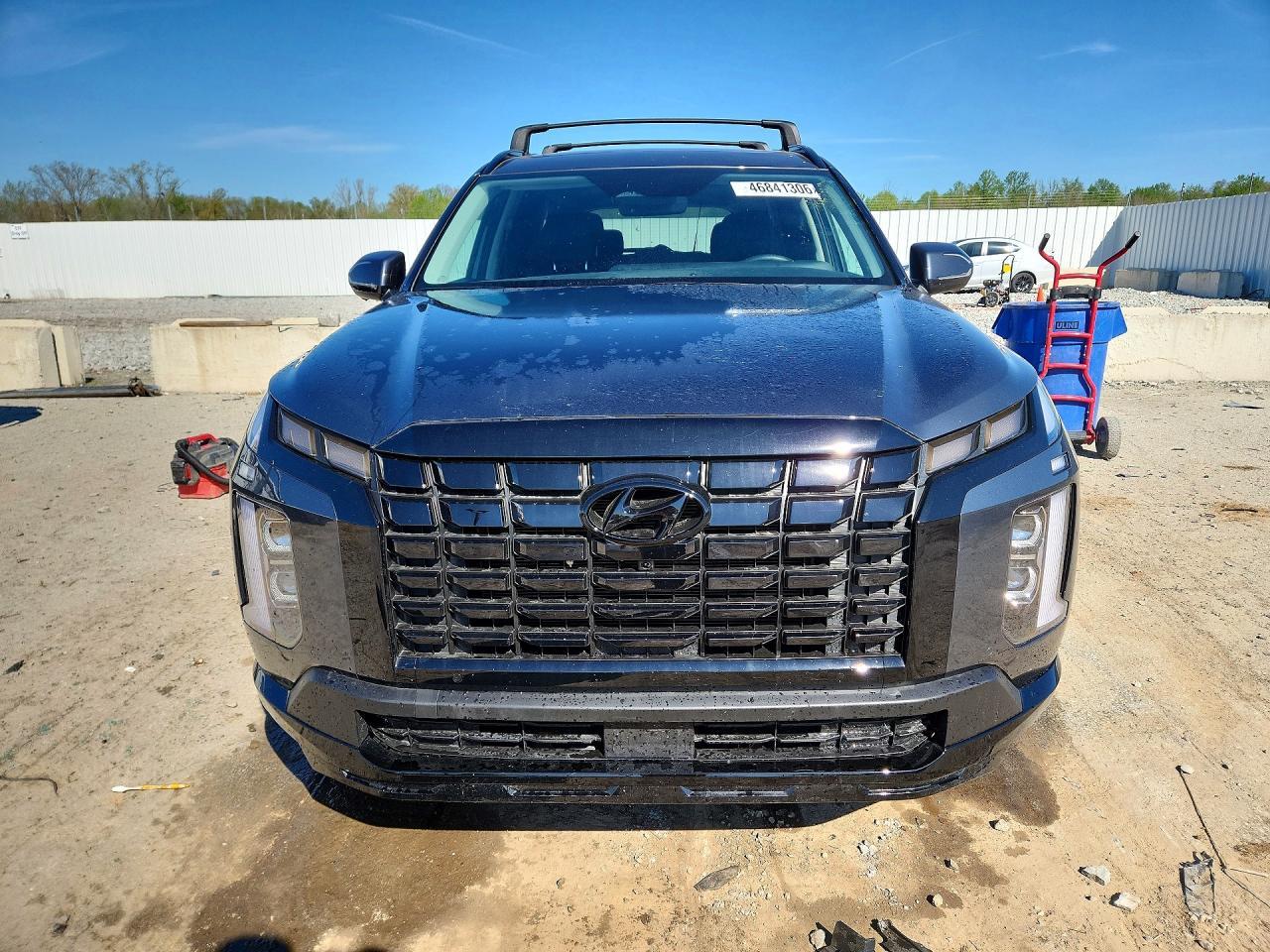 2025 Hyundai Palisade Xrt - Фото 5