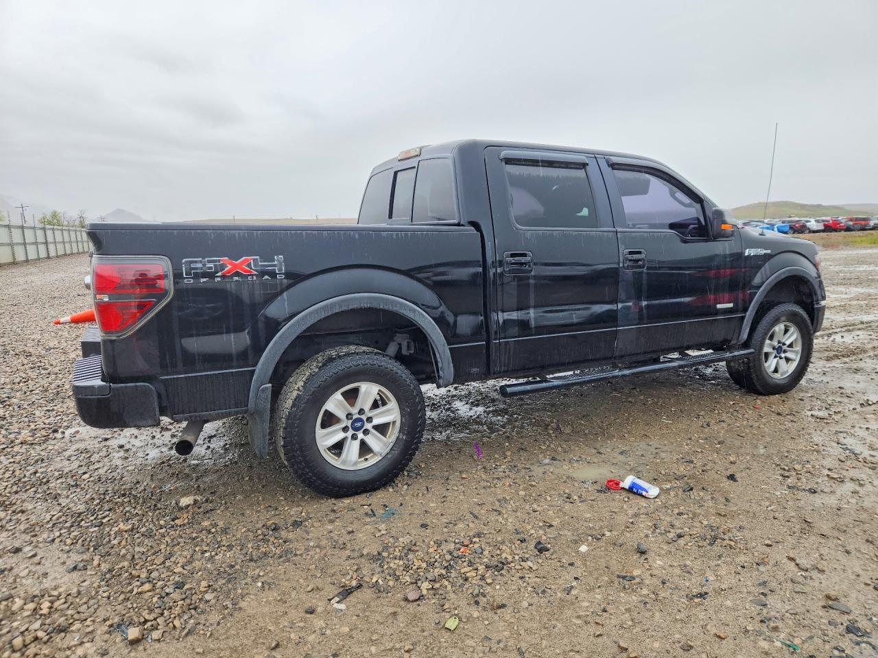 2011 Ford F150 Supercrew - Фото 3