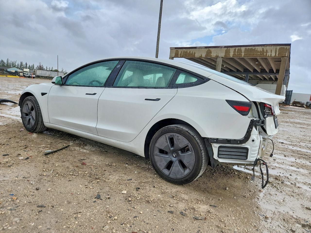 2023 Tesla Model 3 - Фото 2