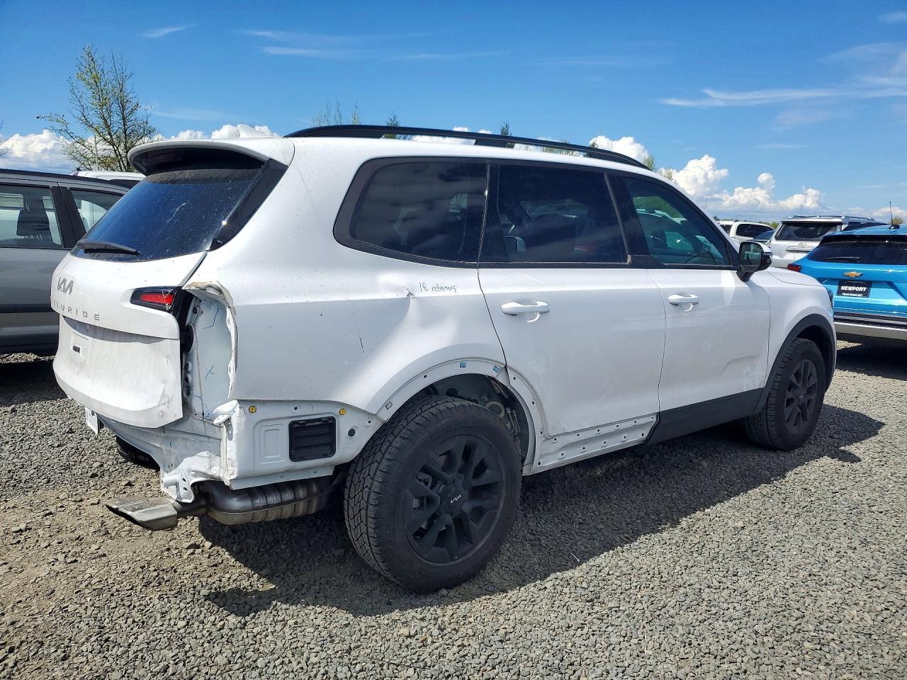 2024 Kia Telluride Sx-Prestige X-Pro - Image 3
