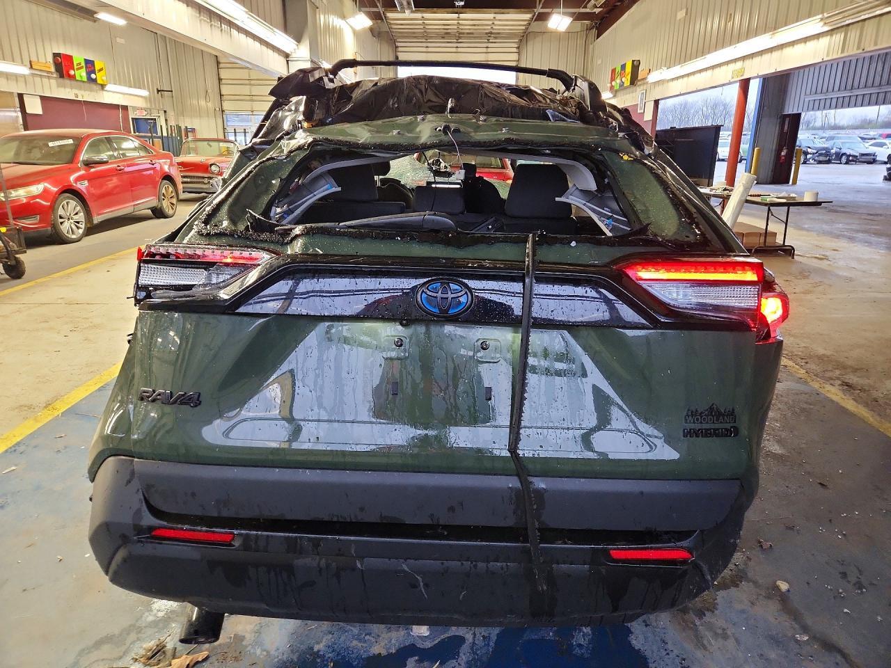 2024 Toyota Rav4 Hybrid Woodland Edition - Фото 6