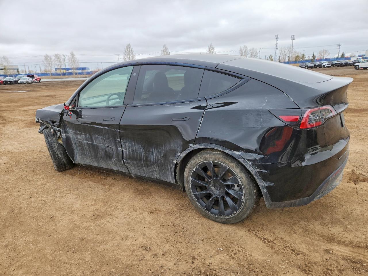 2022 Tesla Model Y - Фото 2