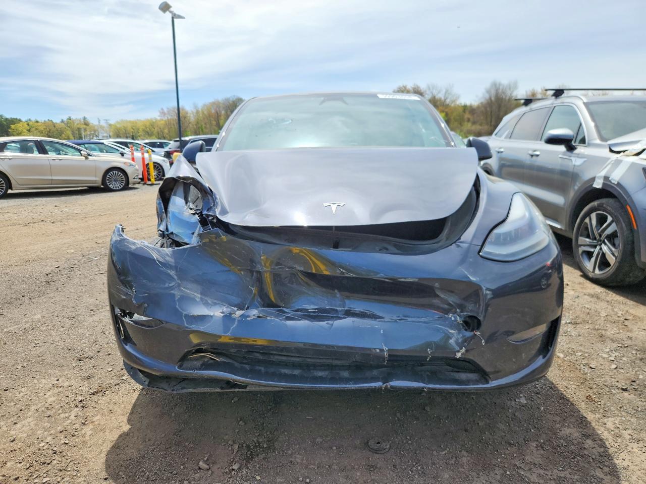 2024 Tesla Model Y - Image 5