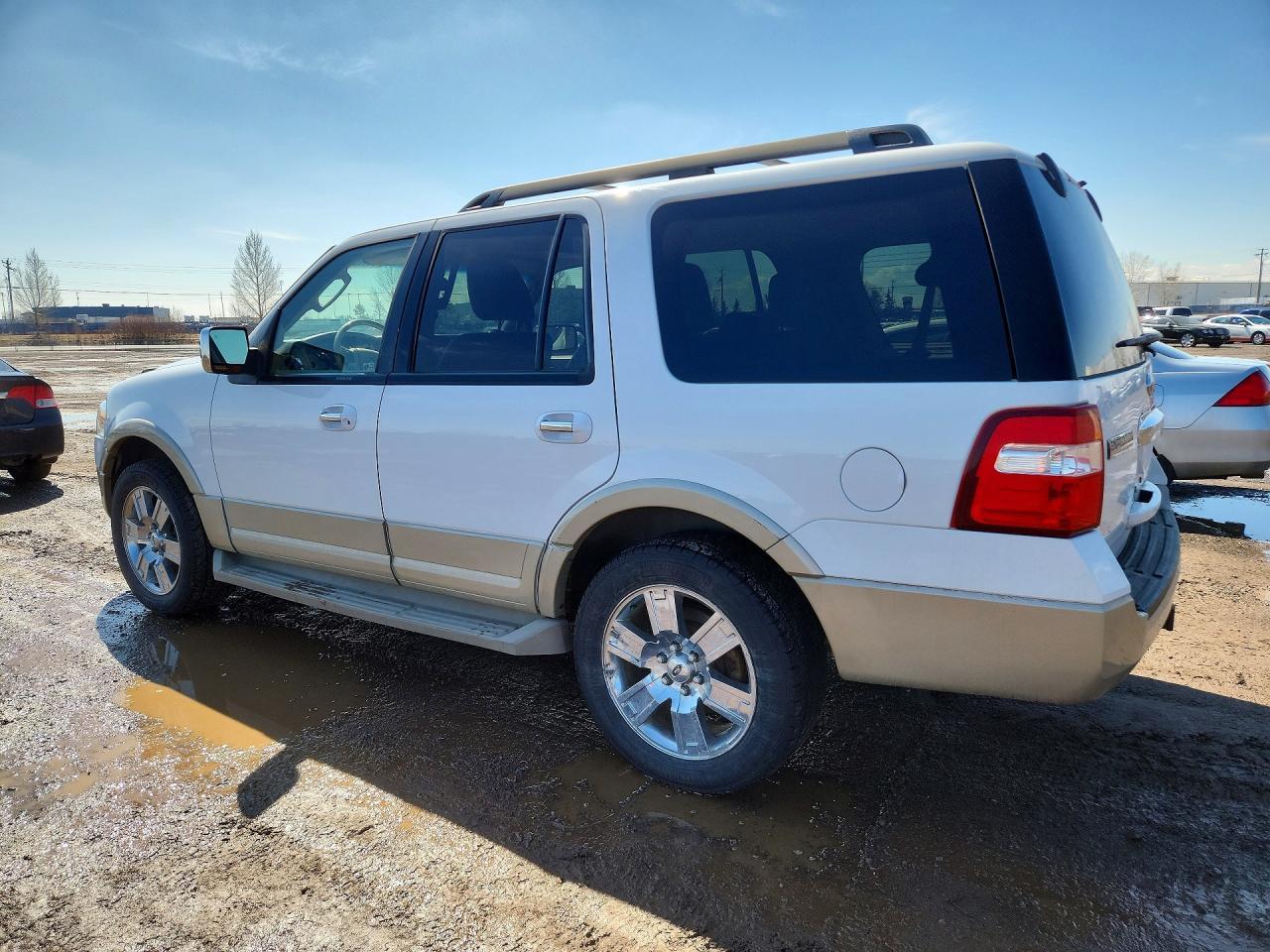 2010 Ford Expedition Eddie Bauer - Фото 2