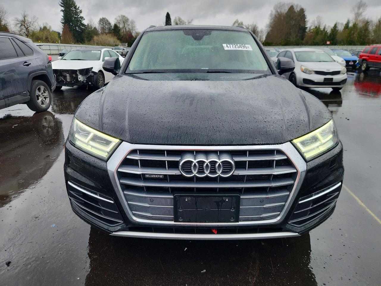 2019 Audi Q5 Premium Plus - Image 5