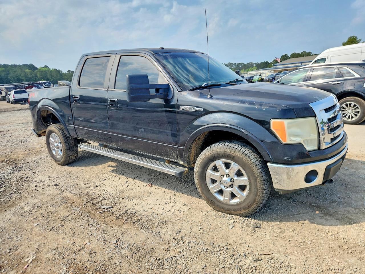 2010 Ford F150 Supercrew - Фото 4