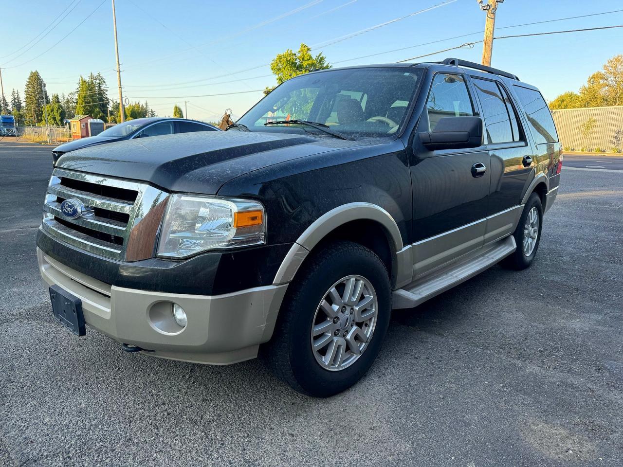 2010 Ford Expedition Eddie Bauer - Фото 2