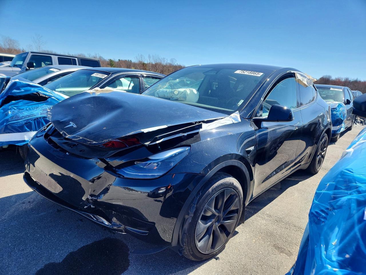 2025 Tesla Model Y